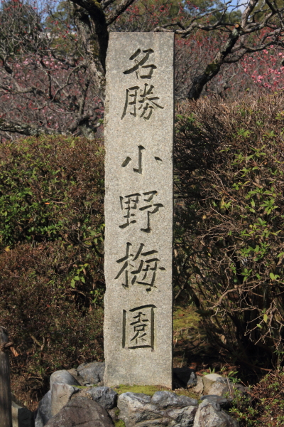 e0051888_21411738.jpg