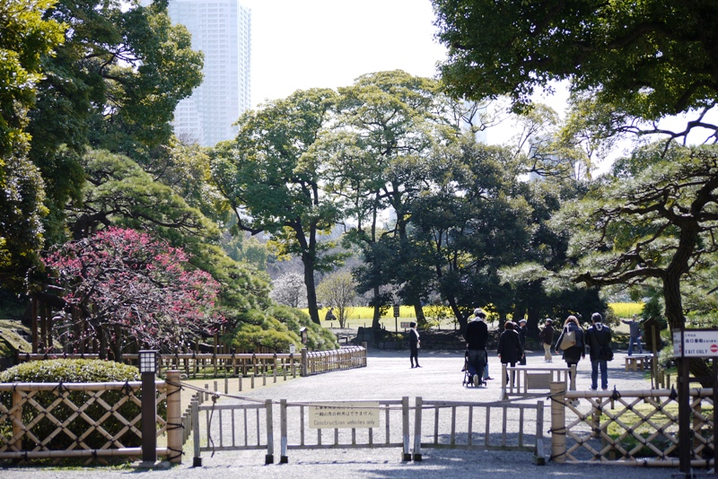 a0127090_1901060.jpg