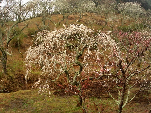 d0125890_13412462.jpg