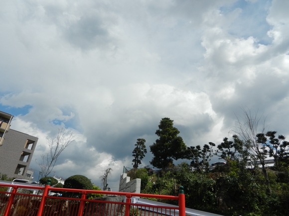 d0224990_16495428.jpg