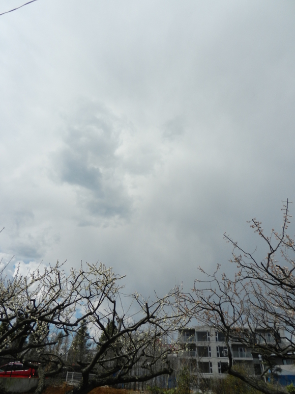 d0224990_1652515.jpg