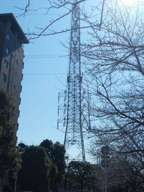 d0224990_1934779.jpg