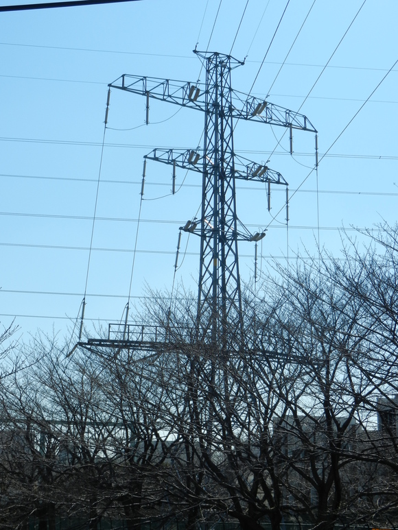 d0224990_1953923.jpg