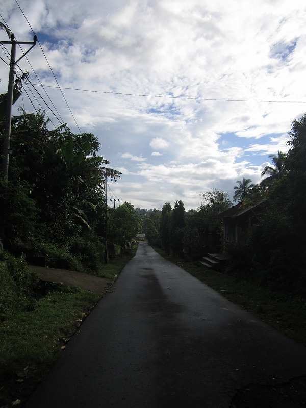 b0161391_21291265.jpg