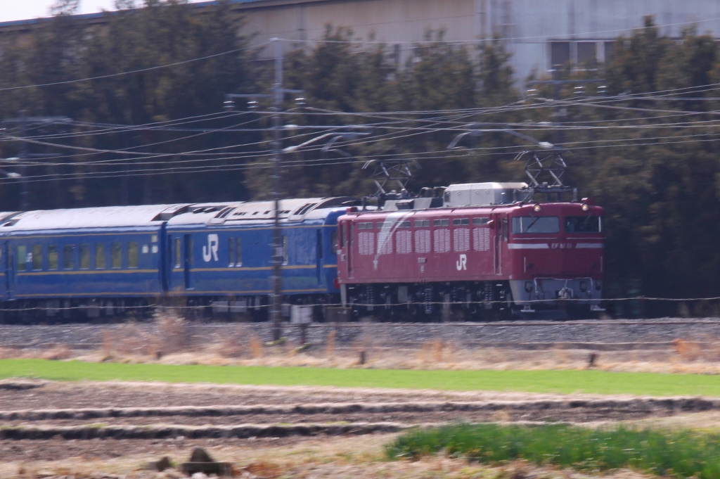 c0035094_193663.jpg