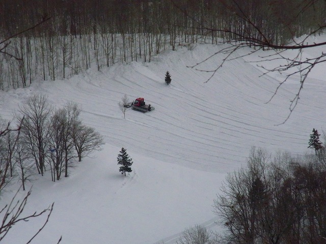 f0157901_13502813.jpg