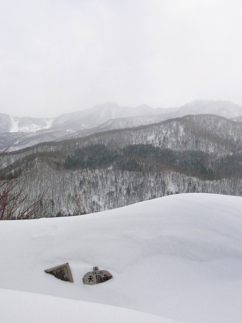 f0157901_1351632.jpg