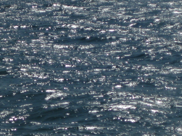 f0236201_12114049.jpg