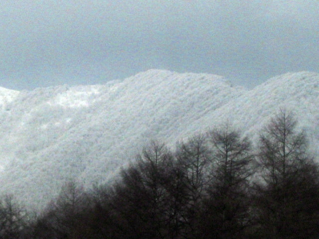 f0236201_1212584.jpg