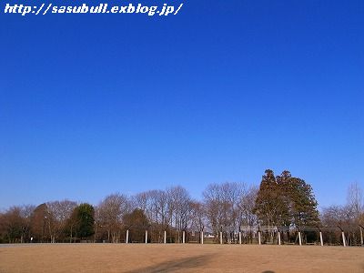 e0145805_1918668.jpg