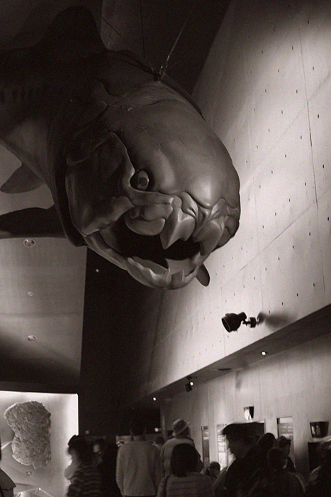 d0127209_2144538.jpg