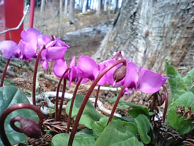 f0231709_1145765.jpg