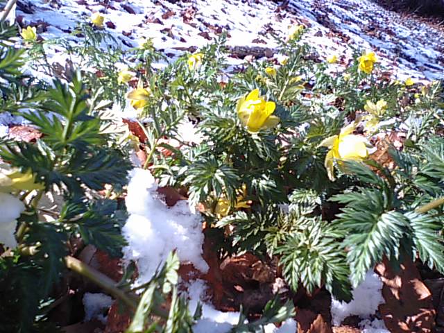 f0231709_1147910.jpg