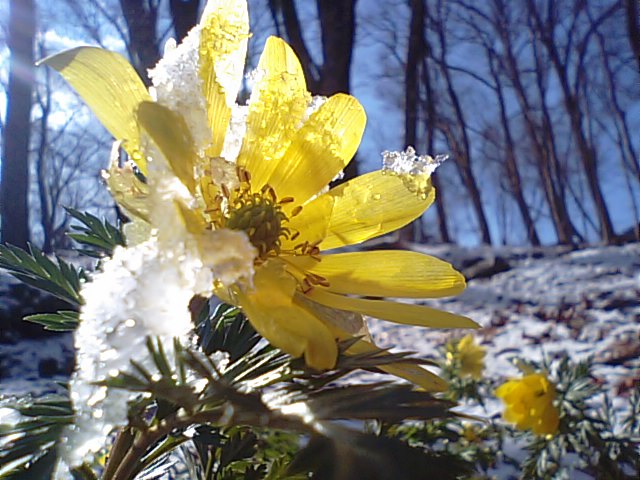 f0231709_1149297.jpg
