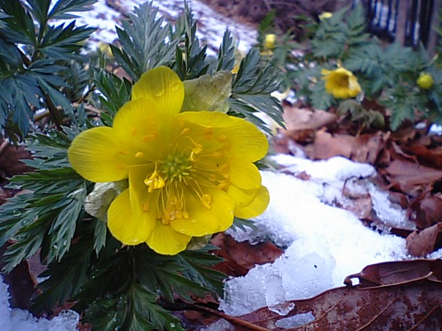 f0231709_1150214.jpg