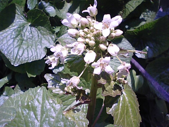 f0231709_12153526.jpg