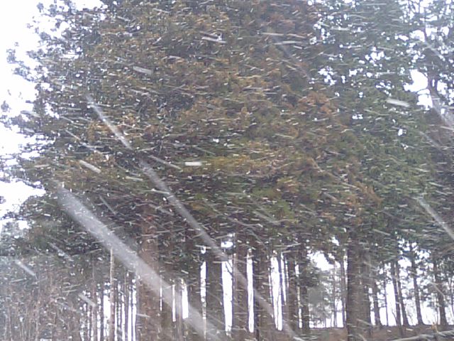 f0231709_12285056.jpg