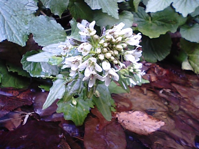 f0231709_15294188.jpg