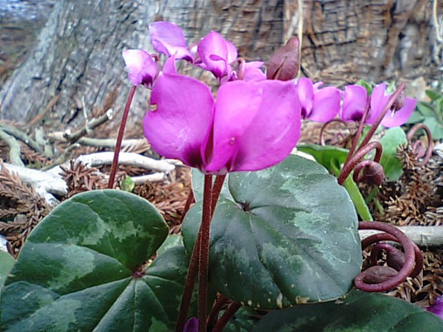 f0231709_15332172.jpg