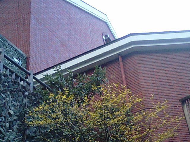f0231709_1733720.jpg