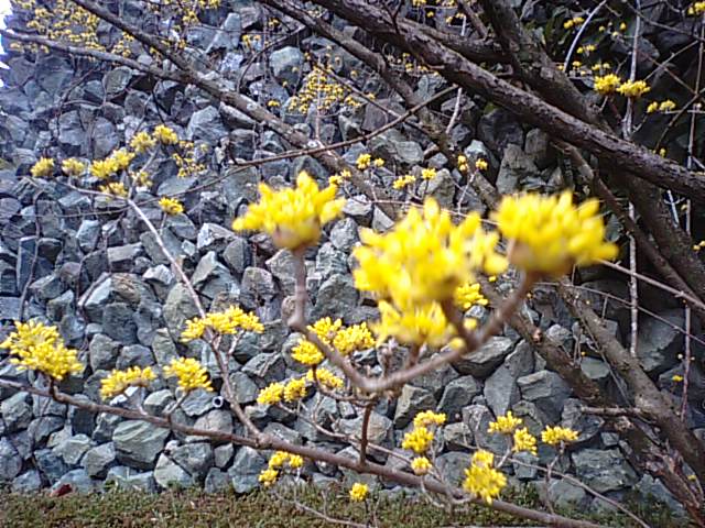 f0231709_1763721.jpg