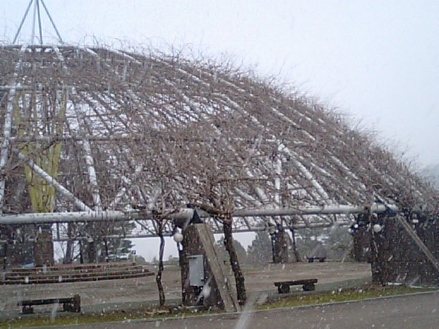 f0231709_2040239.jpg