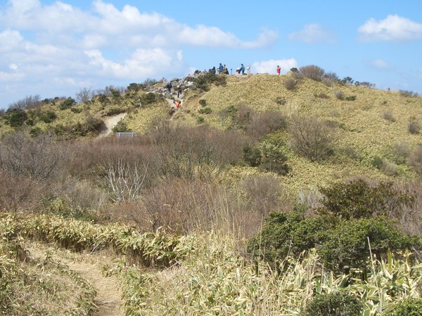 d0198313_9295427.jpg