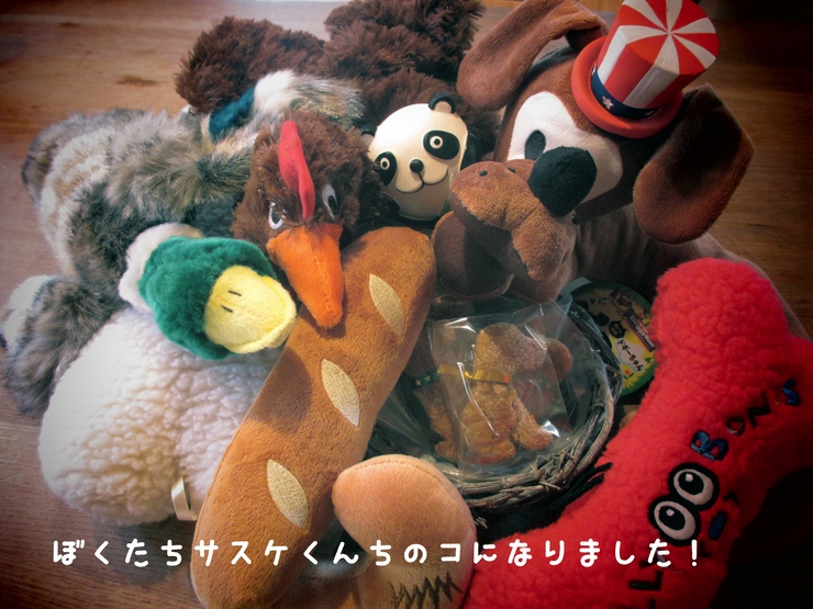 c0237824_10101790.jpg