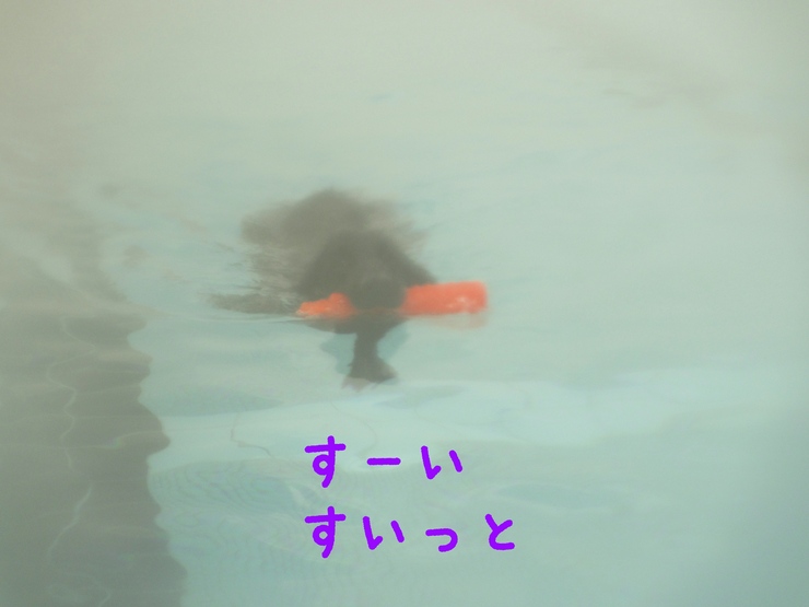 c0237824_1013163.jpg