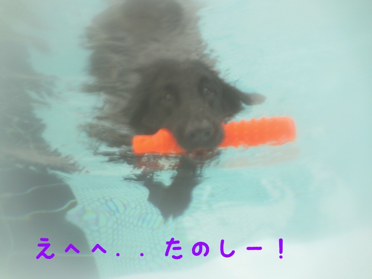c0237824_1022697.jpg