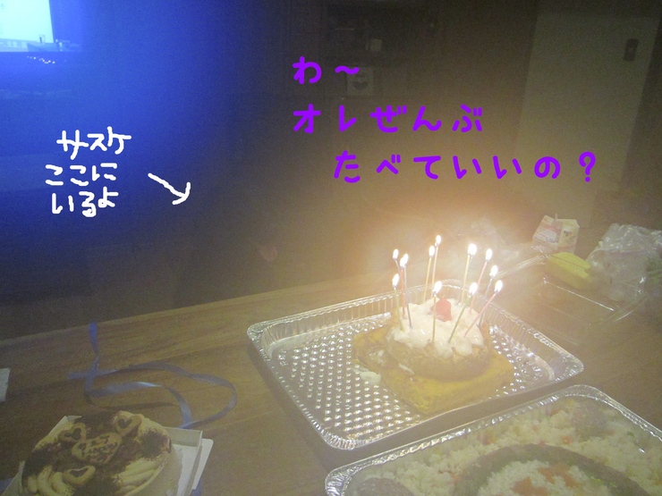 c0237824_1091375.jpg