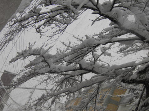 c0225927_17523273.jpg