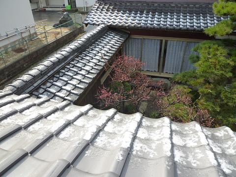 b0138430_973887.jpg
