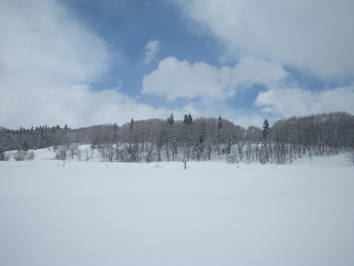 f0118332_19465038.jpg