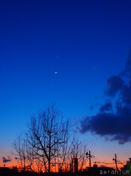 c0133533_213639.jpg