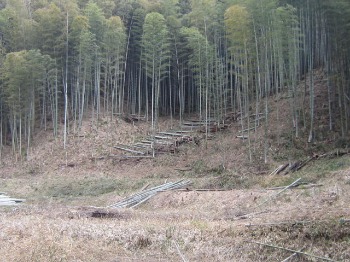 f0142733_20353374.jpg