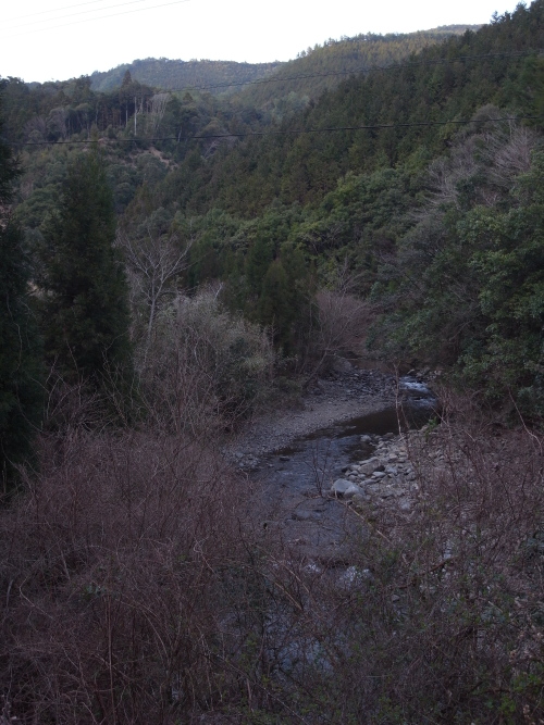 a0156834_20225638.jpg