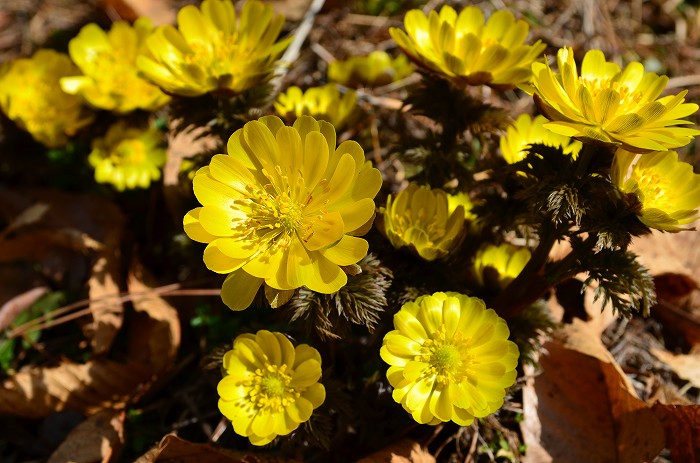 b0236334_20252100.jpg