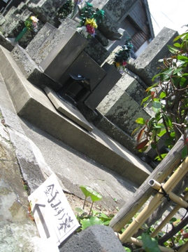 c0077338_6134511.jpg