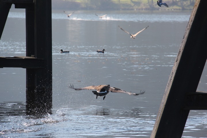 c0153740_3103065.jpg