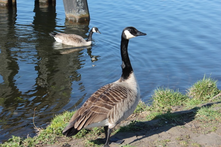 c0153740_395059.jpg
