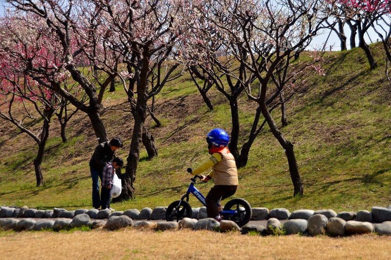 c0220040_1142224.jpg