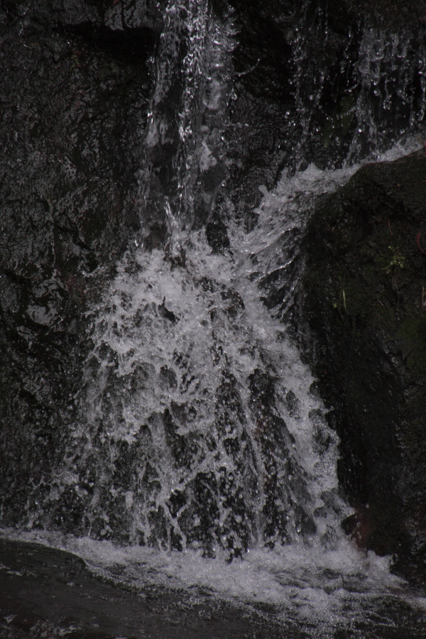d0247340_1873594.jpg