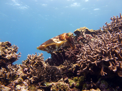f0014842_19362861.jpg