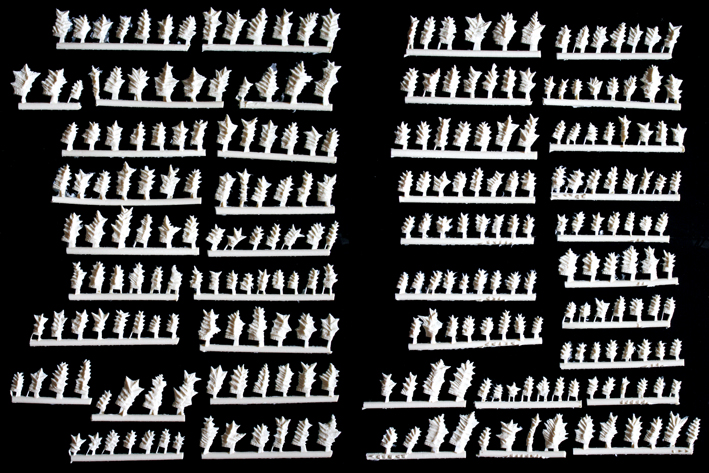 e0096346_17433014.jpg