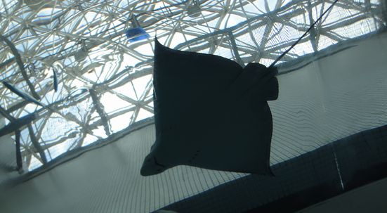 f0191248_15412879.jpg