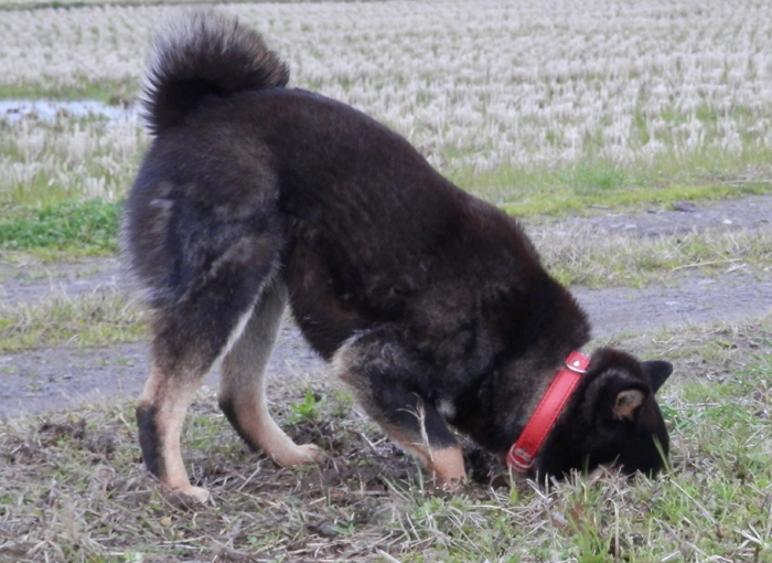f0214649_635291.jpg