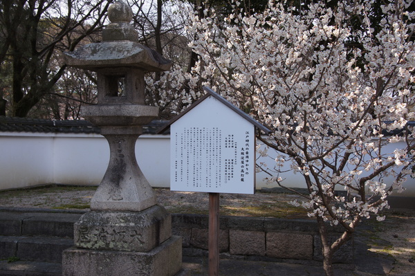 d0048750_20342465.jpg