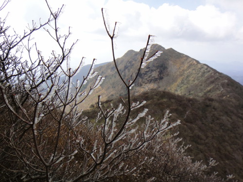 c0179351_9291033.jpg