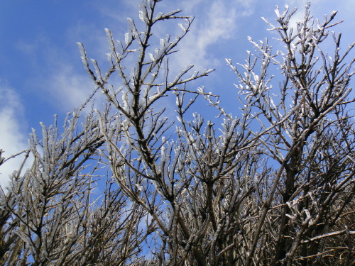 c0179351_9302172.jpg